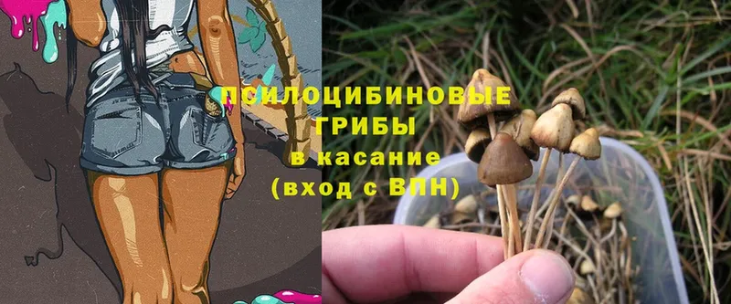 Галлюциногенные грибы Magic Shrooms Иланский